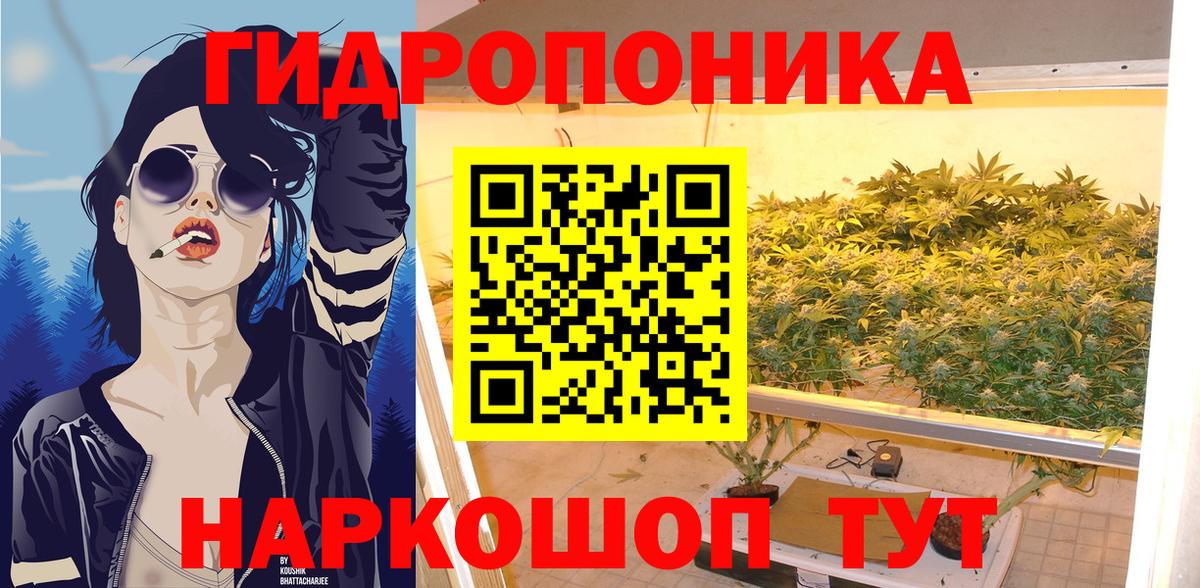 Бошки марихуана Bruce Banner  Конопля OG Kush  Когалым  Вход с VPN 